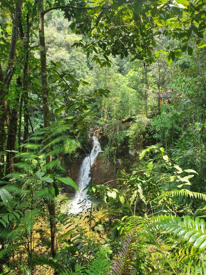 Green Acres Fraser'S Hill Fraser Hill Luaran gambar